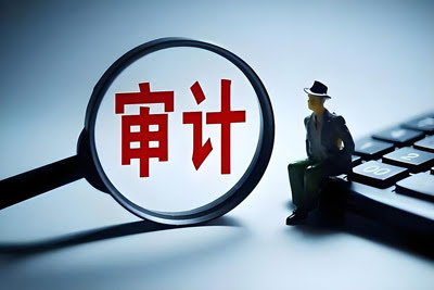 信息化项目费用审计