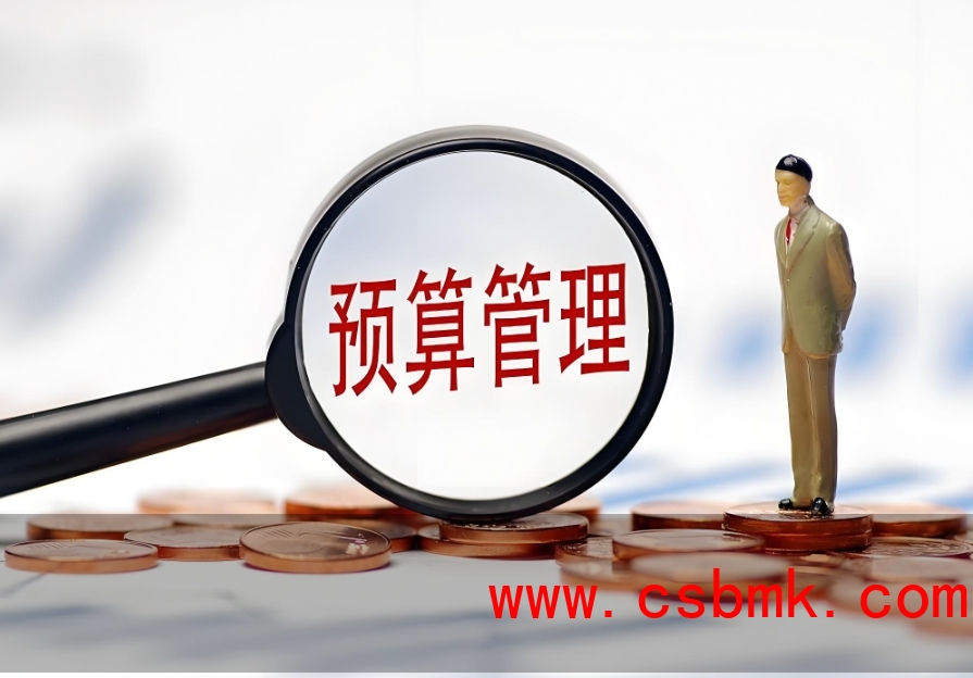 中基数联中标河南审计厅项目