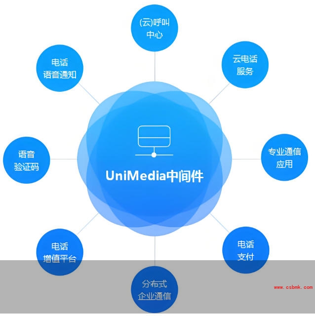 软件造价评估中软件项目的能力组件（中间件）怎么计算费用呢？按功能点吗？