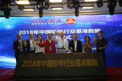 2018年中国软件行业基准数据正式发布