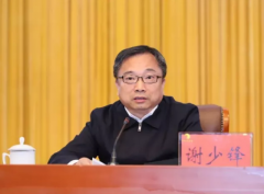 信软司谢少锋：推动信息化和软件服务业改革创新， 支撑制造强国和网络强国