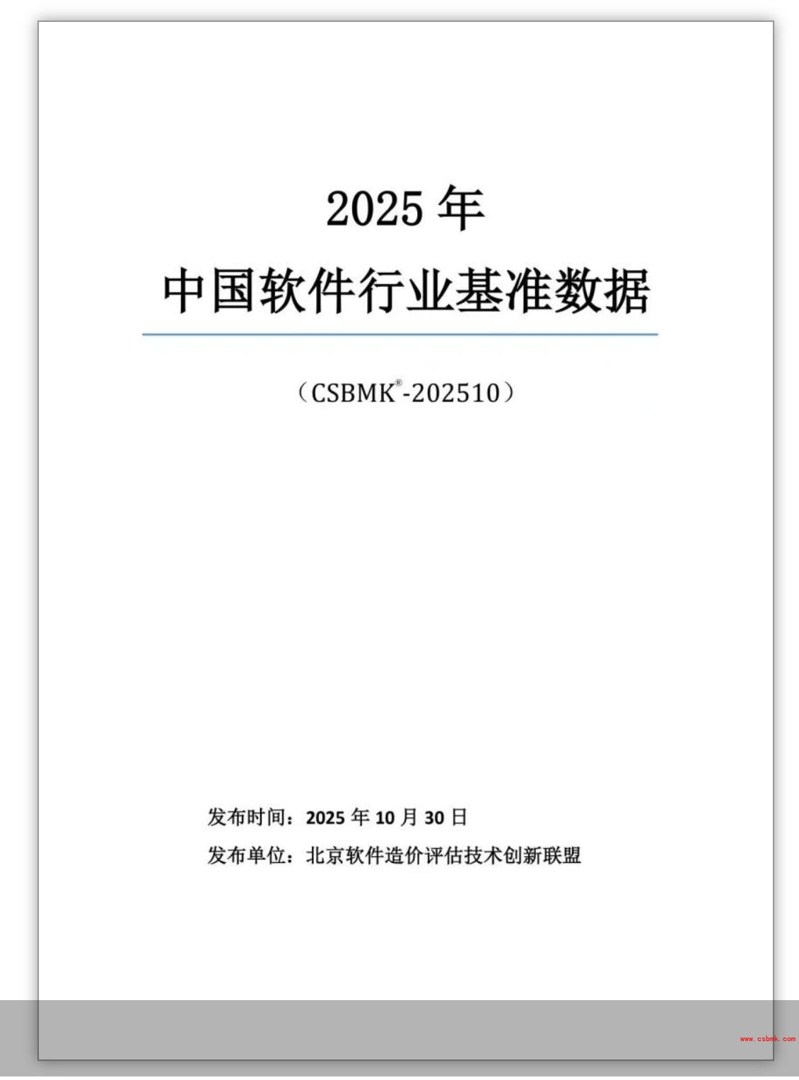 2025年中国软件行业基准数据